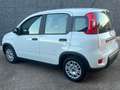 Fiat Panda Panda III 2021 1.0 firefly hybrid s Blanc - thumbnail 13