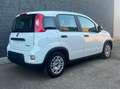 Fiat Panda Panda III 2021 1.0 firefly hybrid s Blanc - thumbnail 9