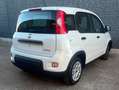 Fiat Panda Panda III 2021 1.0 firefly hybrid s Blanc - thumbnail 10