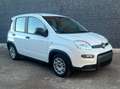 Fiat Panda Panda III 2021 1.0 firefly hybrid s Blanc - thumbnail 6