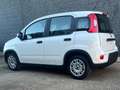 Fiat Panda Panda III 2021 1.0 firefly hybrid s Blanc - thumbnail 3