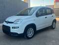 Fiat Panda Panda III 2021 1.0 firefly hybrid s Blanc - thumbnail 1