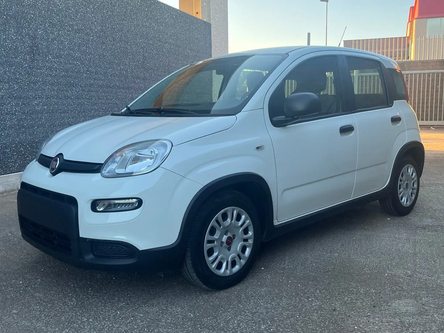 Fiat Panda Panda III 2021 1.0 firefly hybrid s Blanc - 1
