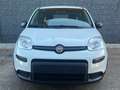 Fiat Panda Panda III 2021 1.0 firefly hybrid s Blanc - thumbnail 4