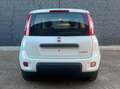 Fiat Panda Panda III 2021 1.0 firefly hybrid s Blanc - thumbnail 11