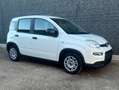 Fiat Panda Panda III 2021 1.0 firefly hybrid s Blanc - thumbnail 8