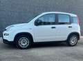 Fiat Panda Panda III 2021 1.0 firefly hybrid s Blanc - thumbnail 2