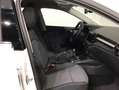 Skoda Fabia 1.0 TSI Ambition 70kW Blanco - thumbnail 5