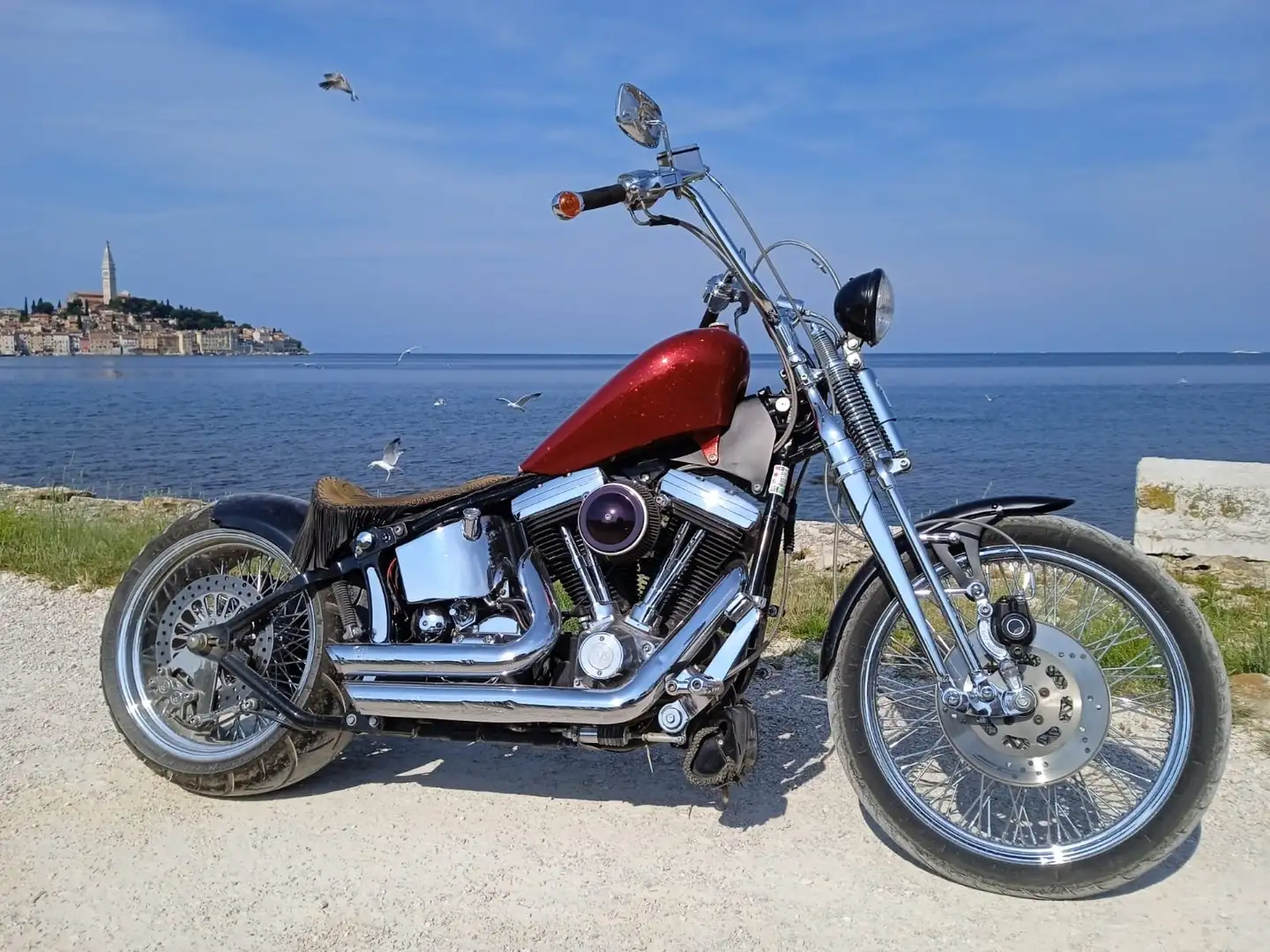 Harley-Davidson Custom Bike fxstc Noir - 2