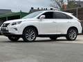 Lexus RX 450h 3.5i V6 Executive Line-Dak-Led-Leder-Cam-Full Opt. bijela - thumbnail 8