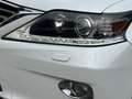 Lexus RX 450h 3.5i V6 Executive Line-Dak-Led-Leder-Cam-Full Opt. Beyaz - thumbnail 14