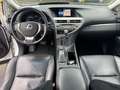 Lexus RX 450h 3.5i V6 Executive Line-Dak-Led-Leder-Cam-Full Opt. Weiß - thumbnail 17