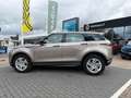 Land Rover Range Rover Evoque R-Dynamic S Marrón - thumbnail 8