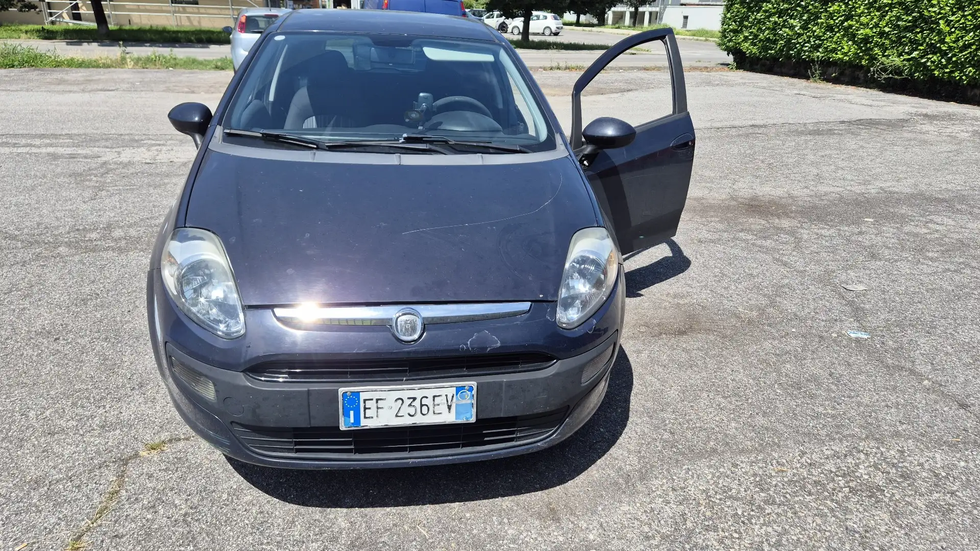 Fiat Punto Evo 5p 1.2 MyLife s&s - 1