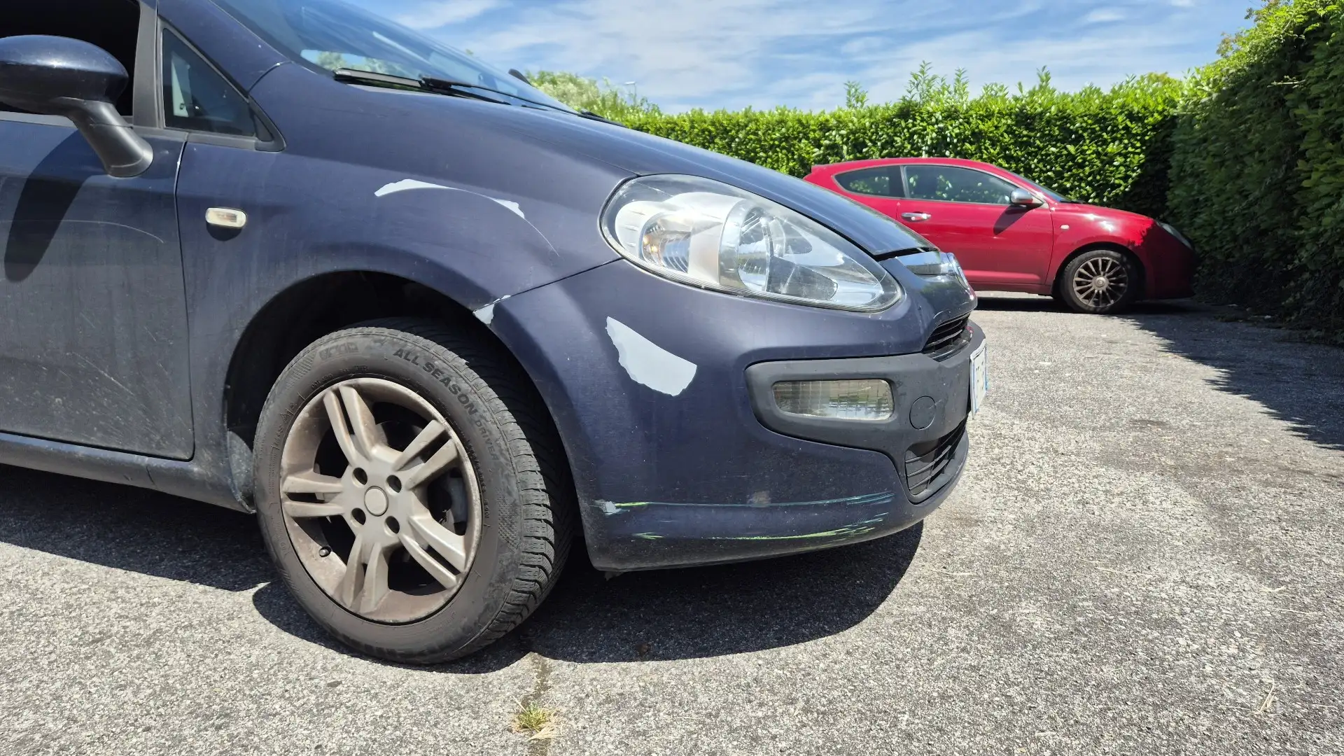 Fiat Punto Evo 5p 1.2 MyLife s&s - 2
