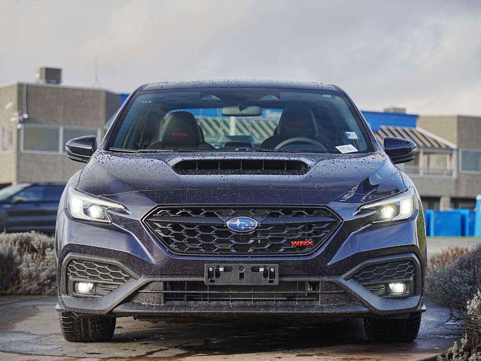 2026 Subaru WRX