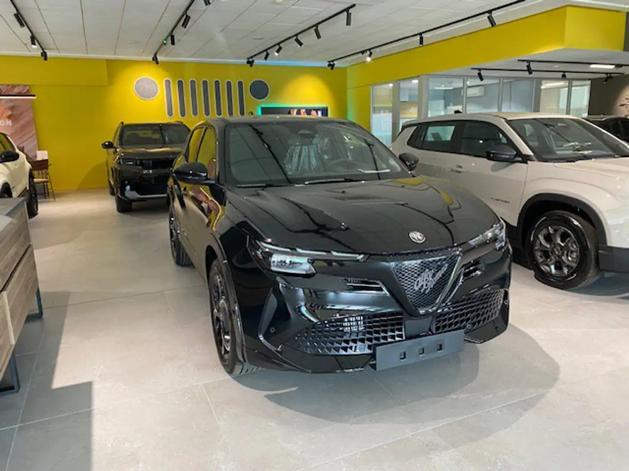 Alfa Romeo Junior 2026