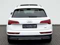 Audi Q5 50 TFSI e quattro sport / NAVI / LED / PANO / - thumbnail 6