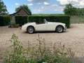 MG MGA 1600 MK I 1959 Perfecte conditie Blanco - thumbnail 12