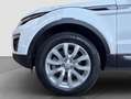 Land Rover Range Rover Evoque 5p 2.0 Td4 110 kW Blanco - thumbnail 20