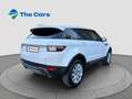 Land Rover Range Rover Evoque 5p 2.0 Td4 110 kW Blanco - thumbnail 6