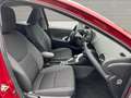 Toyota Yaris Hybrid Club, Rückfahrkamera Rojo - thumbnail 13