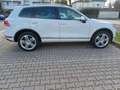 Volkswagen Touareg 3.0 V6 tdi Executive 204cv tiptronic Bianco - thumbnail 1