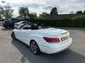 Mercedes-Benz E 220 CABRIO Blanc - thumbnail 7
