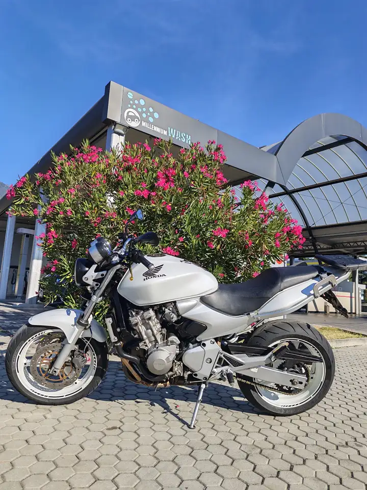 Honda Hornet