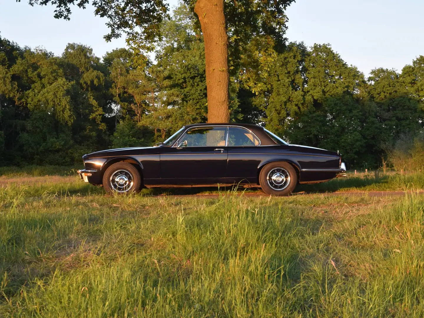 Daimler Sovereign Daimler Sovereign Coupe 4.2 L6 – Dark Blue Blauw - 1