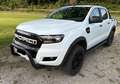 Ford Ranger Doppelkabine Limited 4x4 2,2 TDCi Start/Stop - thumbnail 4