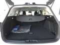 Ford Focus Traveller 1,5 EcoBlue Cool&Connect Aut. *LED / NAVI / AHV & KAMERA / TEMPOMAT / SITZHZG / 2-ZONEN KLIMA* Weiß - thumbnail 13