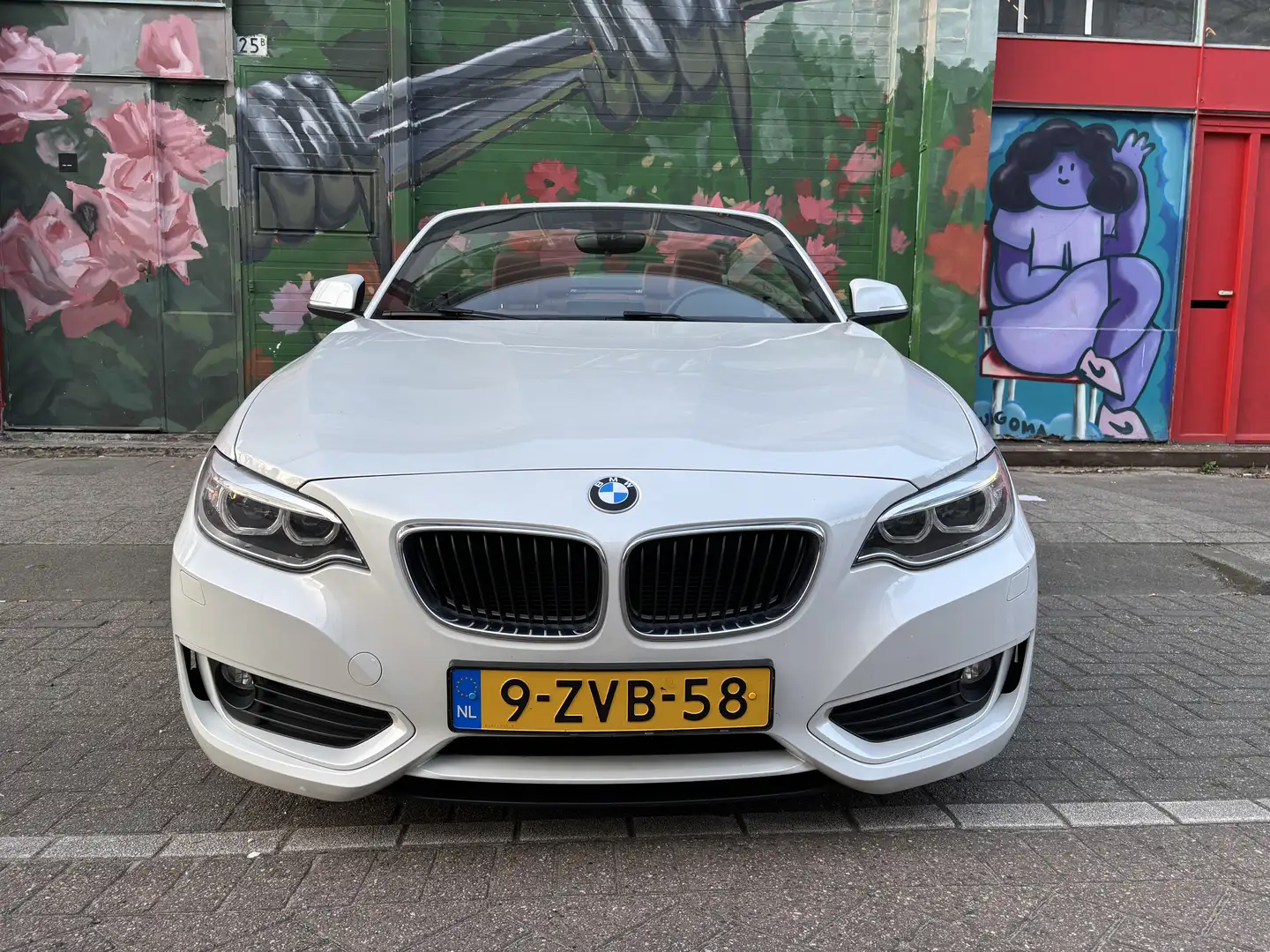 BMW 220 BMW 220i Cabrio - Stoelverwarming - NL Auto Wit - 1