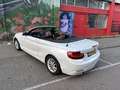 BMW 220 BMW 220i Cabrio - Stoelverwarming - NL Auto Wit - thumbnail 4