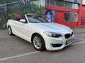 BMW 220 BMW 220i Cabrio - Stoelverwarming - NL Auto Wit - thumbnail 3