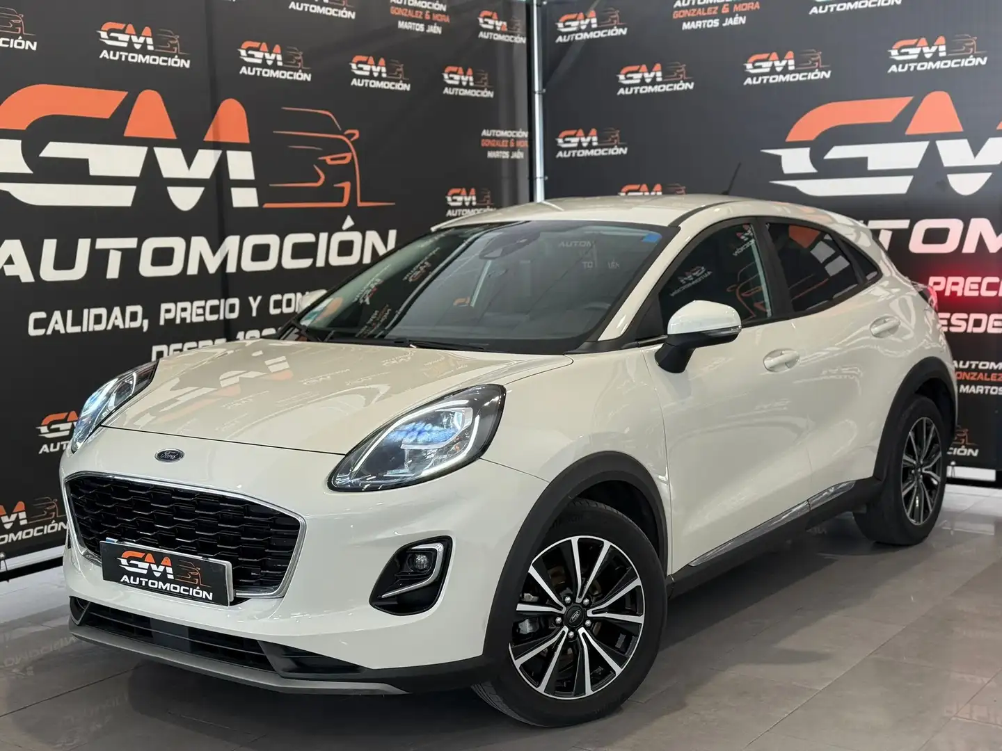 Ford Puma 1.5 Ecoblue Titanium 120 Gris - 1