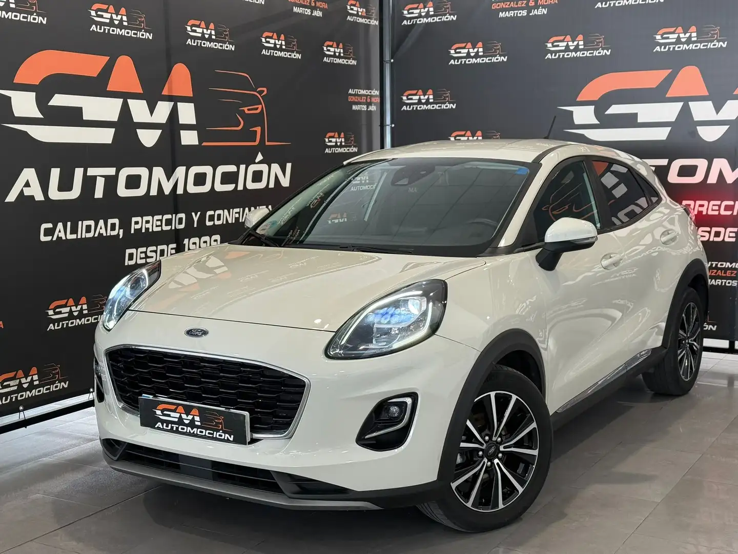 Ford Puma 1.5 Ecoblue Titanium 120 Gris - 2