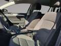 Volkswagen Passat Variant Business TDI DSG Grau - thumbnail 9
