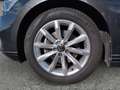 Volkswagen Passat Variant Business TDI DSG Grau - thumbnail 14