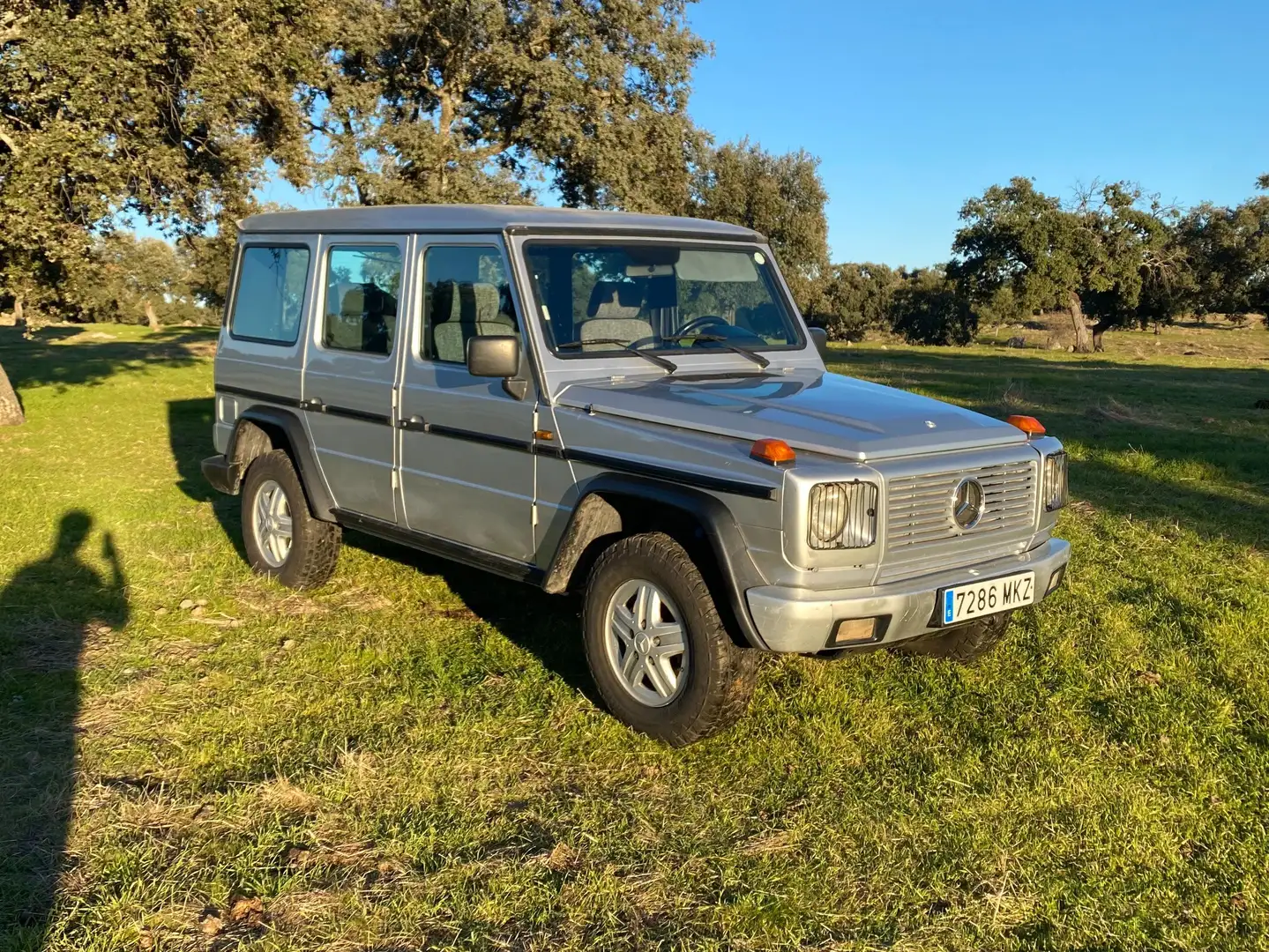 Mercedes-Benz G 300 300 GD SW Largo srebrna - 2