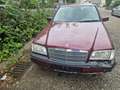 Mercedes-Benz C 220 Diesel.  klimaanlage Red - thumbnail 2