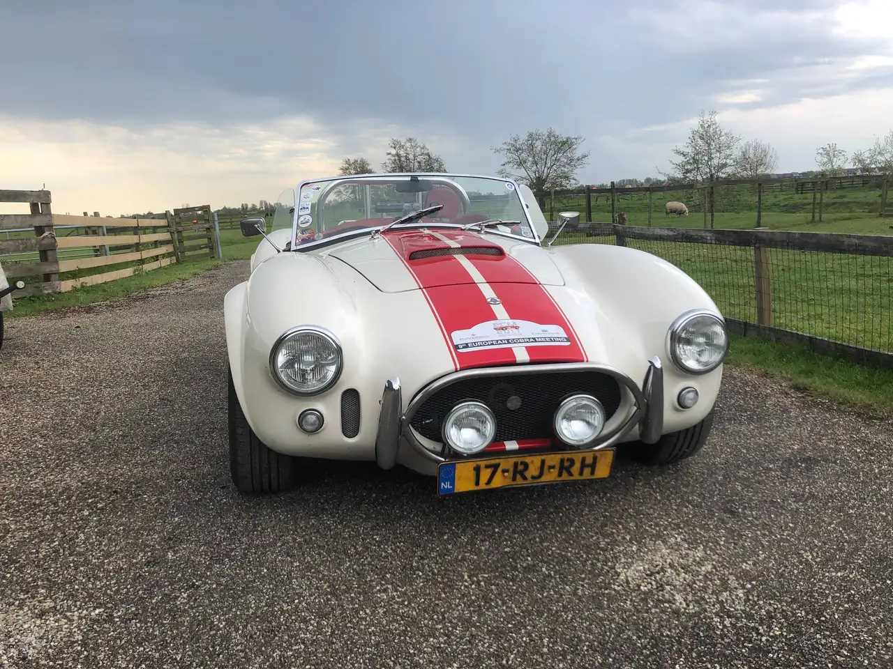 AC Cobra Replica, foto 7