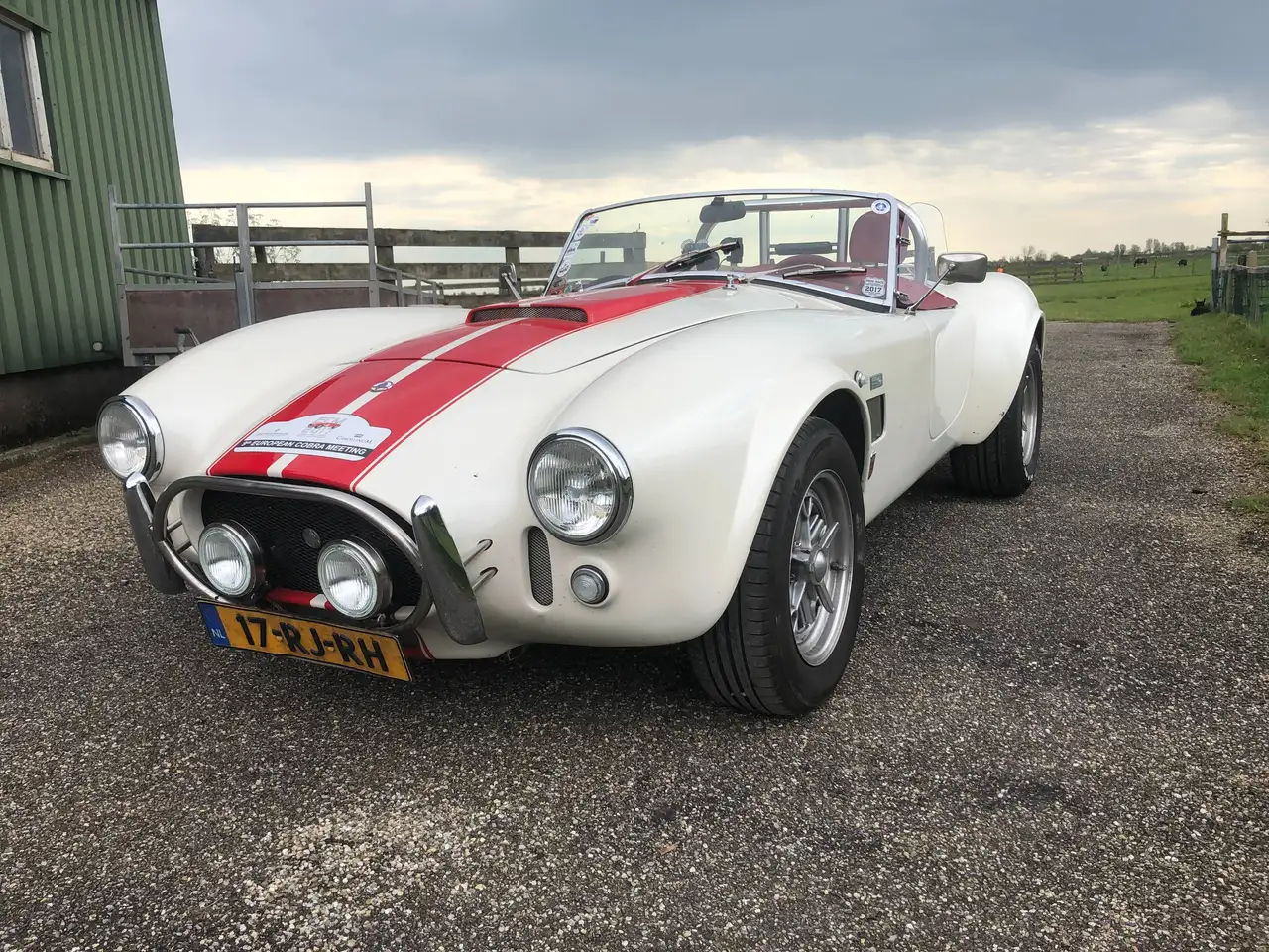AC Cobra Replica, foto 4