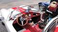 AC Cobra AC Cobra Replica Weiß - thumbnail 19