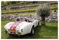 AC Cobra AC Cobra Replica Weiß - thumbnail 18