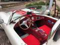 AC Cobra AC Cobra Replica Weiß - thumbnail 9