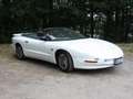 Pontiac Firebird Firebird Blanco - thumbnail 1
