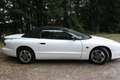 Pontiac Firebird Firebird Blanco - thumbnail 5