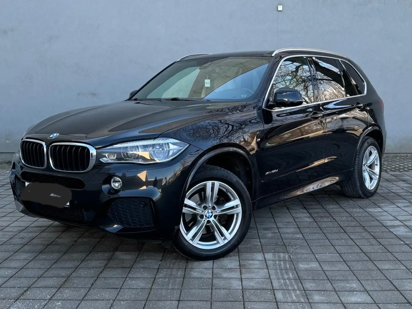 BMW X5 xDrive30d Aut. - 1