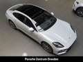 Porsche Panamera 4 Grau - thumbnail 17